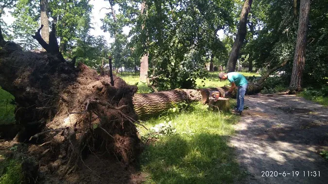 У Ківерцях буревій повалив дерева (фото)