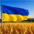 Як у Луцьку відзначатимуть День Державного Прапора та День Незалежності України: програма заходів