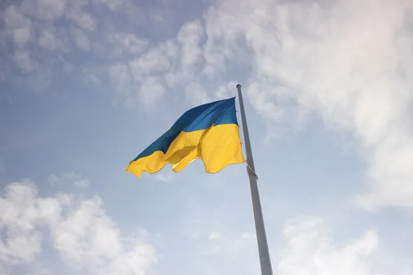 Прапори та сотні людей: як у Луцьку святкували День єднання (фото, відео)