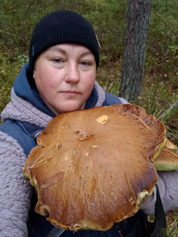 «Це найбільші гриби в моєму житті»: у лісі на Волині жінка знайшла 10 грибів-велетнів (фото)