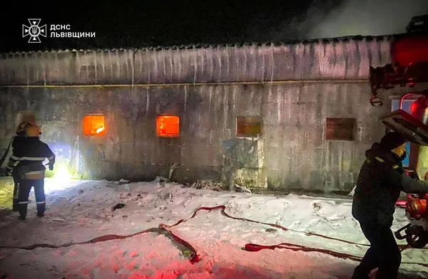 На Львівщині з палаючого пташника врятували понад 23 тисячі курчат (фото)