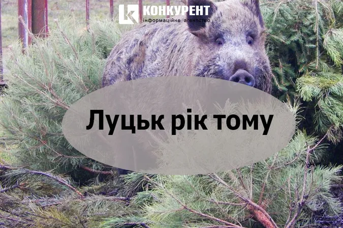 Луцьк рік тому: пограбування Луцькреклами та зростання тарифів