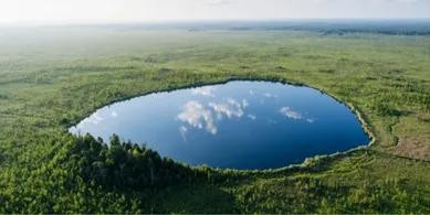 На Волині серед прадавніх боліт заховалося глибоке льодовикове озеро, якому 8 тисяч років (фото)