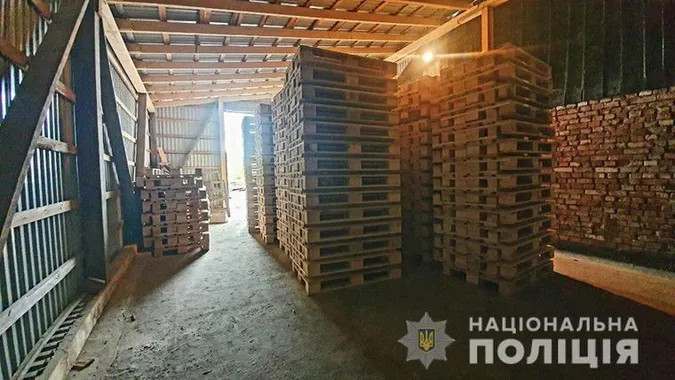 Через незаконну вирубку лісів на Прикарпатті проводять масові обшуки