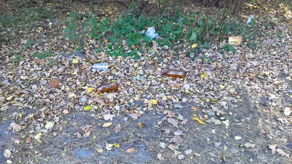 Загроза сміттєвого колапсу у Луцьку: через рік не буде куди вивозити відходи