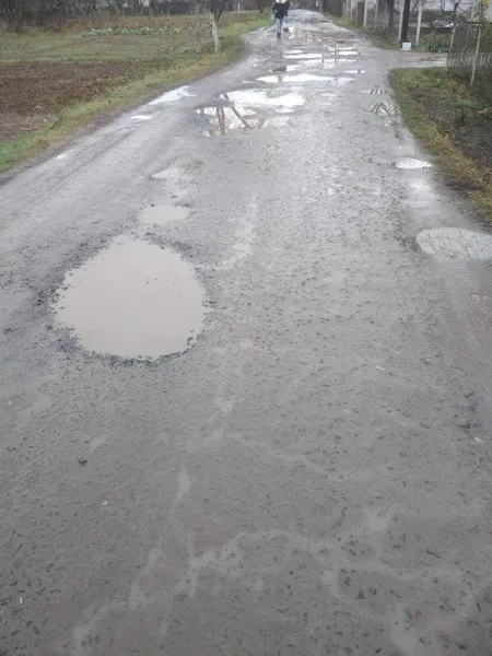 Болото та калюжі: лучанин поскаржився на жахливий стан вулиці (фото)