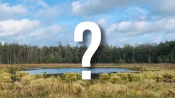 На Волині існує озеро у вигляді серця: де розташовано (фото)