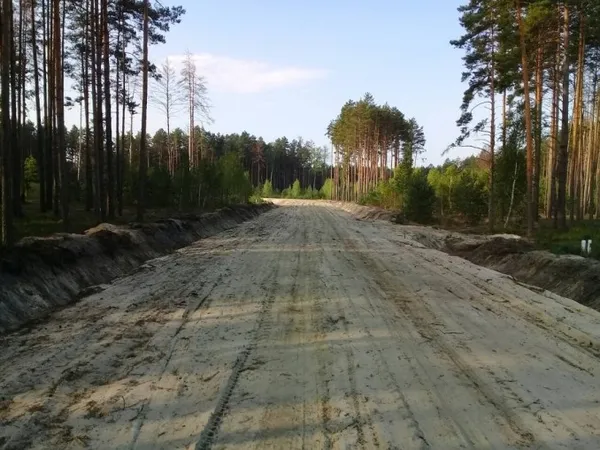 На Волині збудували і відновили 70 кілометрів лісових доріг (фото)