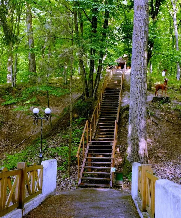 Показали красу літнього Воротнева (фото)