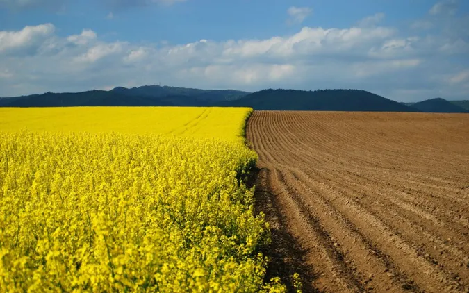 На Волині жінки мають більше землі, ніж чоловіки (інфографіка)