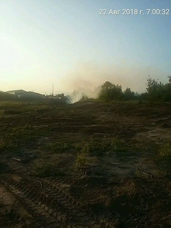 У Луцьку горіли дерева та будівельне сміття (фото)