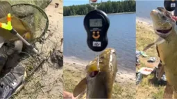 На «Волинських Мальдівах» познущалися з риби (відео)