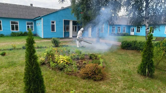 На Волині за рік понад тисячу людей звернулися через укуси кліщів