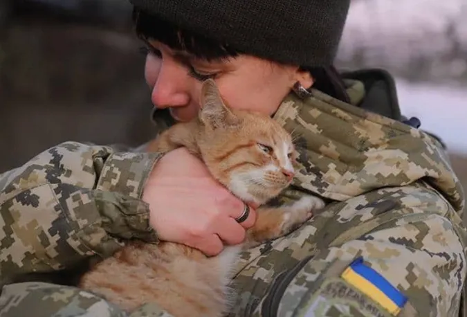 Головне у Луцьку: підсумки тижня