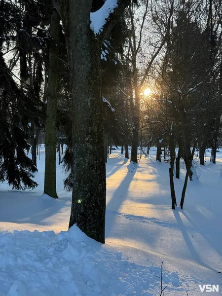У Луцьку в центральному парку в мороз -17 °C бігав чоловік без одягу (фото, відео)