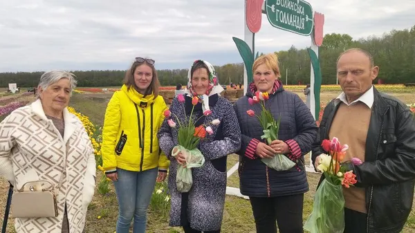 Під Луцьком стартував фестиваль тюльпанів «Волинська Голландія» (фото, відео)