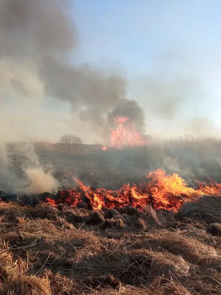 Вогняні стовпи на 12 метрів: на Волині палає Прип'ять (фото)