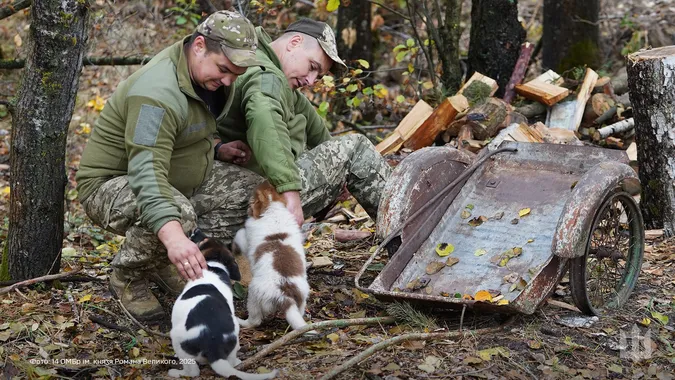 У Князівській бригаді показали, як хвостаті улюбленці дарують затишок на передовій (фото)
