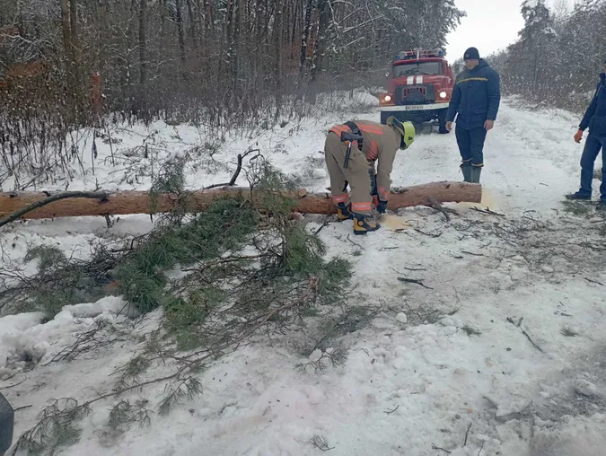 Повалені дерева, автобуси у кучугурах: вночі на Волині вирувала негода (фото)