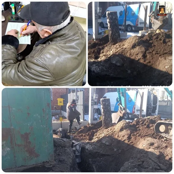 Розкопали землю та зрізали дерева: у Луцькому районі муніципали спіймали «ділків»