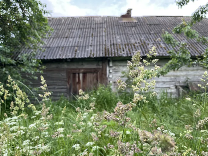 Як живе село-привид, де всього 10 волинян (відео)