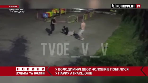 У Володимирі в парку атракціонів – бійка між двома чоловіками (відео)