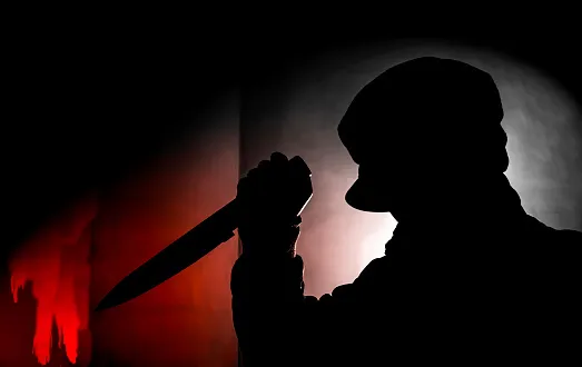 Поранив двох чоловіків та підпалив себе: деталі про пожежу в Старій Вижівці