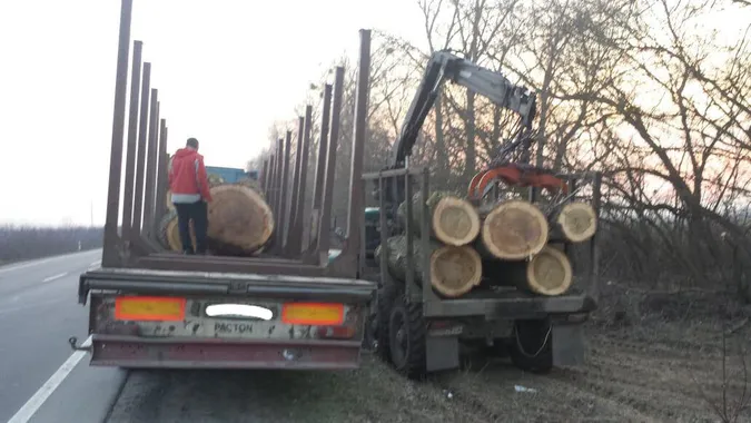На Волині зупинили вантажівку з незаконно зрізаними тополями