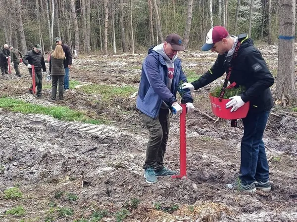 «Ліс пам'яті»: на Волині висадили дерева на честь загиблих Захисників-лісівників (фото, відео)