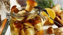 Мариновані білі гриби: прості рецепти на зиму