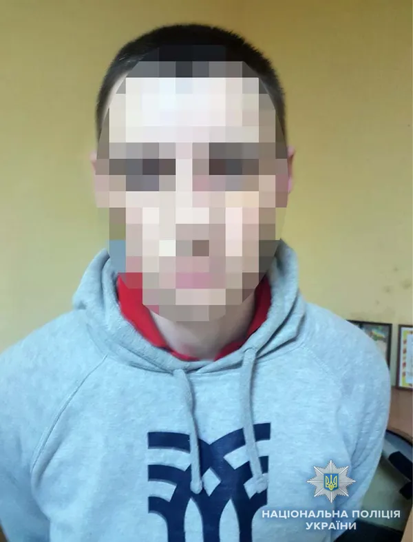 Поліція упіймала підозрюваних у крадіжці бюсту та меморіальної дошки Лесі Українці