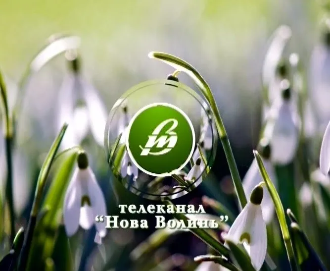 Документальні фільми, серіали, мультики:  «Нова Волинь» змінює контент