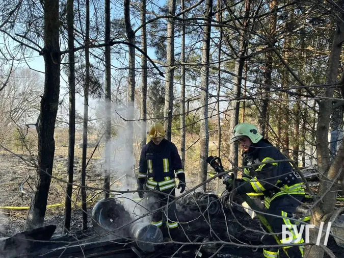 У Володимирі невідомі підпалили сосни біля житлового будинку (фото)