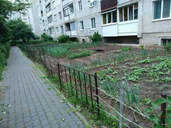 Луцькі муніципали демонтували обмежувачі руху і паркани 