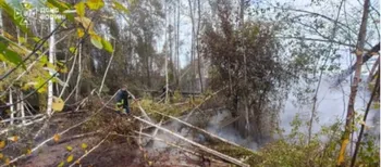 🔥 Майже 6 годин боротьби з вогнем: на Ковельщині горів торф (фото)