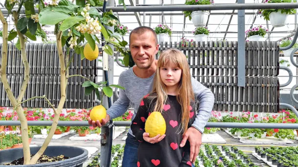 Як волинянин зробив бізнес на лимонах