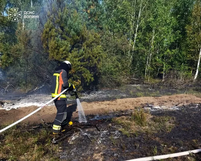 На Волині через людську недбалість вигоріло 0,7 га сухої трави