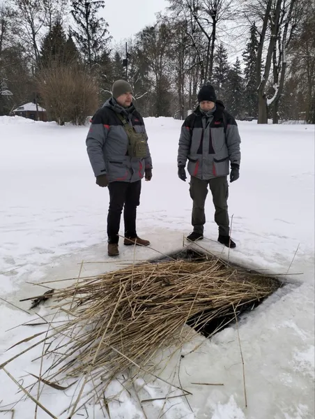 У Центральному парку Луцька зробили десятки дірок у кризі: навіщо (фото)