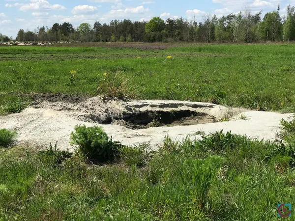 Бурштиновий промисел на карантині: що відбувається на поліських клондайках (фото, відео)