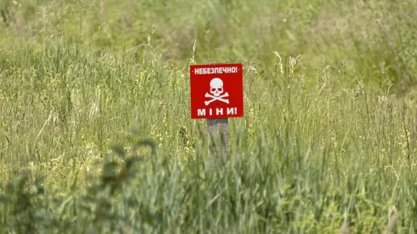 Одна з ділянок, де розташовані мінно-вибухові пристрої