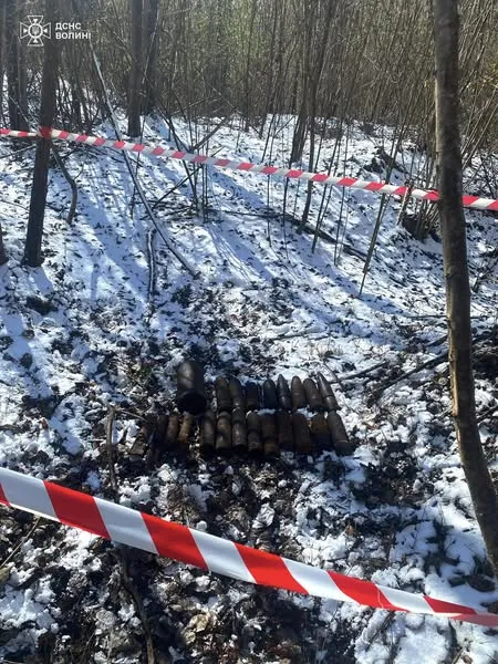 На Волині підірвали понад пів сотні боєприпасів (фото)