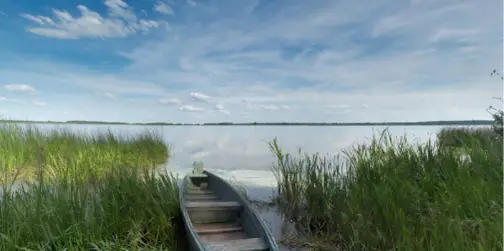 На Волині є загадкове озеро, де за сотні метрів від берега вода лише до колін (фото)
