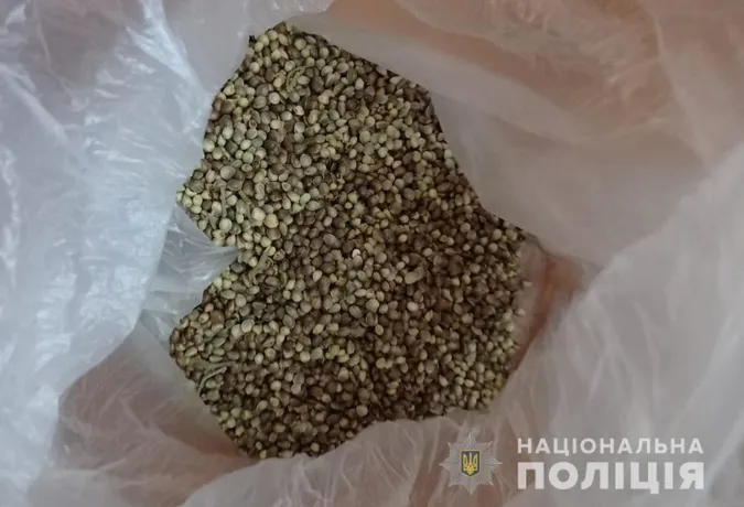 Обшуки в Ковелі: чотирьом наркоділкам оголосили підозру, одного взяли під варту