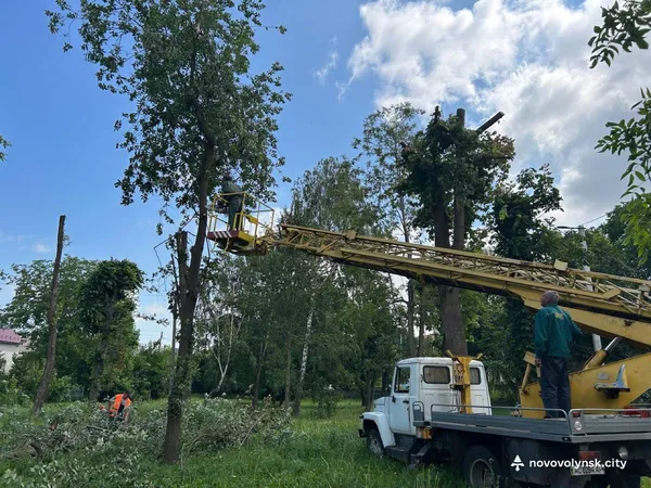 Повалені дерева та пошкоджені лінії електропередач: Нововолинськ оговтується від наслідків негоди (фото)