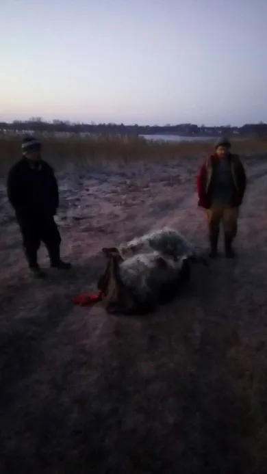 71 тис гривень за пів року: на Волині підрахували збитки від рибних браконьєрів (фото)