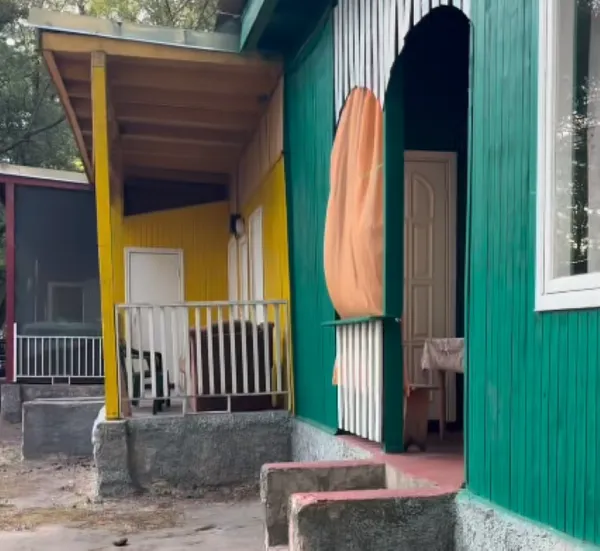 Сосновий ліс і чисті пляжі: біля Луцька є ідеальне місце відпочинку, де мало людей і багато риби (відео)