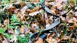 У заказнику на Турійщині браконьєри вполювали козулю (фото 18+)