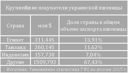 Єгипет відмовляється від українського зерна: які будуть наслідки
