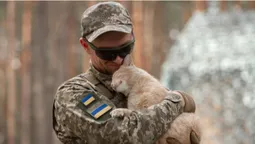 Наймиліший захисник: котик на псевдо «Сметана» служить на північних кордонах (фото)