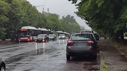 У Луцьку паралізувало рух тролейбусів через негоду: де саме